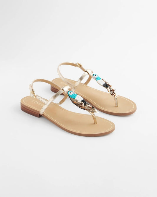 Chico's Best Seller - Beach Parrot T-Strap Sandals Multi